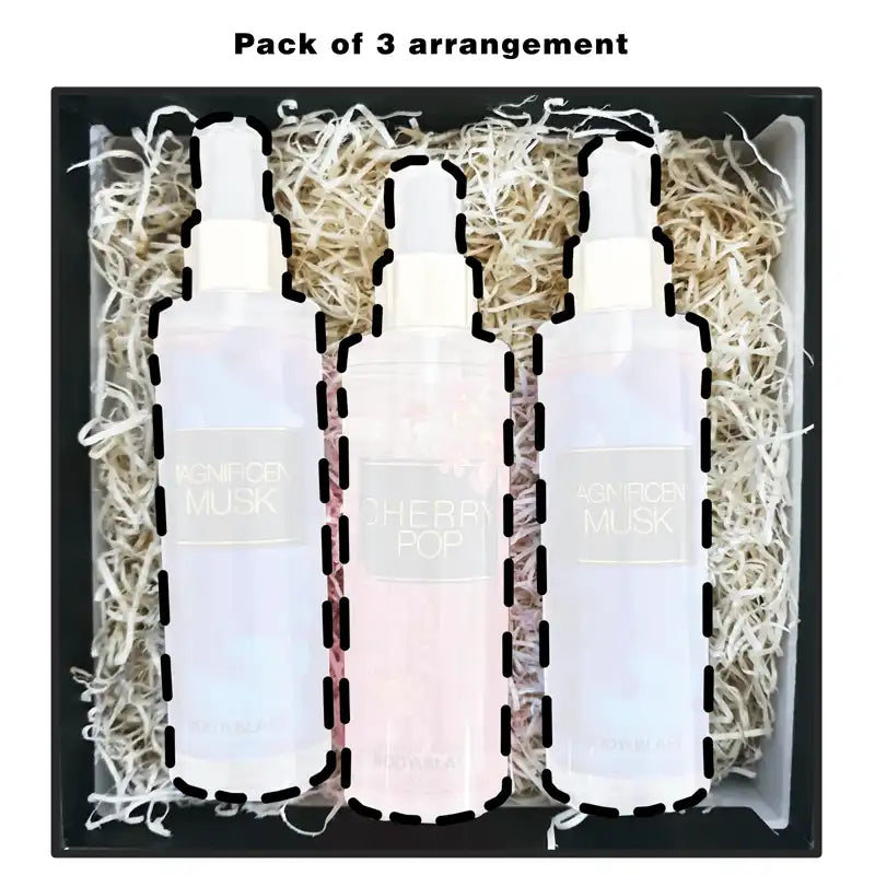 Body and Blast Body and Blast - Pink Gift Box & Bag (EMPTY BOX ) body and blast gift box
